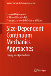 Size-Dependent Continuum Mechanics Approaches : Theory and Applications (Springer Tracts in Mechanical Engineering)
