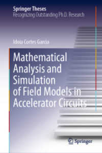 Mathematical Analysis and Simulation of Field Models in Accelerator Circuits (Springer Theses)