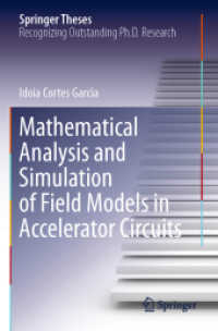 Mathematical Analysis and Simulation of Field Models in Accelerator Circuits (Springer Theses)