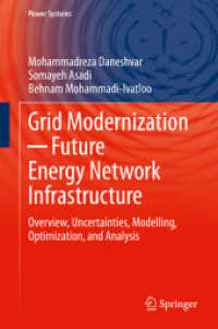 Grid Modernization -- Future Energy Network Infrastructure : Overview, Uncertainties, Modelling, Optimization, and Analysis (Power Systems)