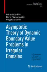 Asymptotic Theory of Dynamic Boundary Value Problems in Irregular Domains (Advances in Partial Differential Equations)