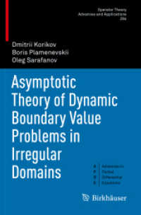 Asymptotic Theory of Dynamic Boundary Value Problems in Irregular Domains (Advances in Partial Differential Equations)