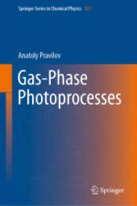 Gas-Phase Photoprocesses (Springer Series in Chemical Physics)