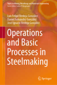 Operations and Basic Processes in Steelmaking (Topics in Mining, Metallurgy and Materials Engineering)