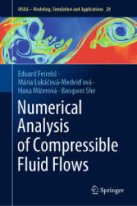 Numerical Analysis of Compressible Fluid Flows (Ms&a)