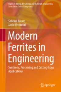 Modern Ferrites in Engineering : Synthesis, Processing and Cutting-Edge Applications (Topics in Mining, Metallurgy and Materials Engineering)