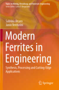Modern Ferrites in Engineering : Synthesis, Processing and Cutting-Edge Applications (Topics in Mining, Metallurgy and Materials Engineering)