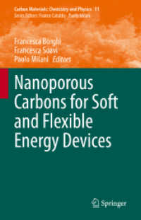 Nanoporous Carbons for Soft and Flexible Energy Devices (Carbon Materials: Chemistry and Physics)