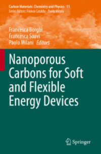Nanoporous Carbons for Soft and Flexible Energy Devices (Carbon Materials: Chemistry and Physics)