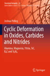Cyclic Deformation in Oxides, Carbides and Nitrides : Alumina, Magnesia, Yttria, SiC, B4C and Si3N4 (Structural Integrity) （2022）