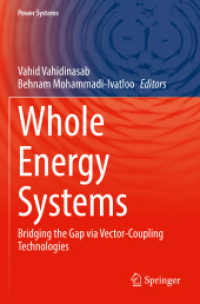 Whole Energy Systems : Bridging the Gap via Vector-Coupling Technologies (Power Systems)