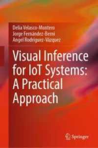 Visual Inference for IoT Systems: a Practical Approach