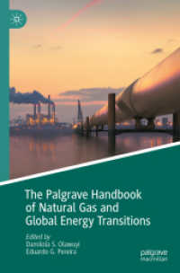 天然ガスとグローバルなエネルギー転換ハンドブック<br>The Palgrave Handbook of Natural Gas and Global Energy Transitions
