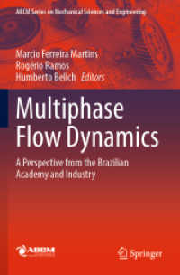Multiphase Flow Dynamics : A Perspective from the Brazilian Academy and Industry (Lecture Notes in Mechanical Engineering)