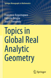 Topics in Global Real Analytic Geometry (Springer Monographs in Mathematics)