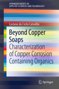 Beyond Copper Soaps : Characterization of Copper Corrosion Containing Organics (Springerbriefs in Applied Sciences and Technology)