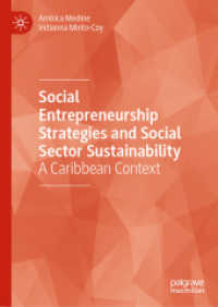 Social Entrepreneurship Strategies and Social Sector Sustainability : A Caribbean Context （2023）