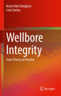Wellbore Integrity : From Theory to Practice （2023）