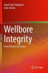 Wellbore Integrity : From Theory to Practice
