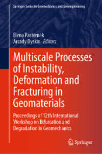 Multiscale Processes of Instability, Deformation and Fracturing in Geomaterials : Proceedings of 12th International Workshop on Bifurcation and Degradation in Geomechanics (Springer Series in Geomechanics and Geoengineering)
