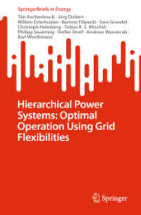 Hierarchical Power Systems: Optimal Operation Using Grid Flexibilities (Springerbriefs in Energy)