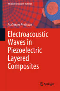 Electroacoustic Waves in Piezoelectric Layered Composites (Advanced Structured Materials)