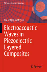 Electroacoustic Waves in Piezoelectric Layered Composites (Advanced Structured Materials)