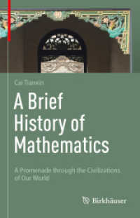 数学小史<br>A Brief History of Mathematics : A Promenade through the Civilizations of Our World