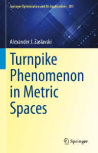 Turnpike Phenomenon in Metric Spaces (Springer Optimization and Its Applications)
