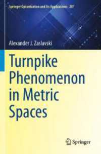Turnpike Phenomenon in Metric Spaces (Springer Optimization and Its Applications)