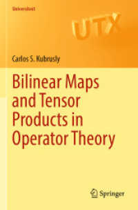 Bilinear Maps and Tensor Products in Operator Theory (Universitext)