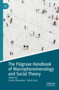 The Palgrave Handbook of Macrophenomenology and Social Theory （2023）