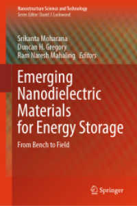 Emerging Nanodielectric Materials for Energy Storage : From Bench to Field (Nanostructure Science and Technology)