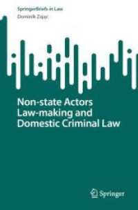 Non-state Actors Law-making and Domestic Criminal Law (Springerbriefs in Law)