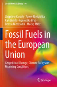 Fossil Fuels in the European Union : Geopolitical Change, Climate Policy and Financing Conditions (Lecture Notes in Energy)