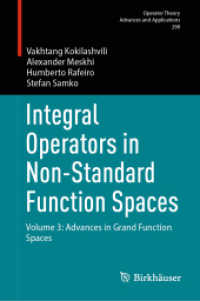 Integral Operators in Non-Standard Function Spaces : Volume 3: Advances in Grand Function Spaces (Operator Theory: Advances and Applications) （2024）
