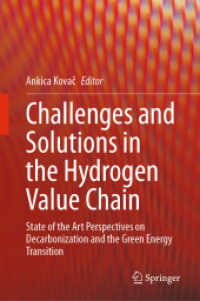 Challenges and Solutions in the Hydrogen Value Chain : State of the Art Perspectives on Decarbonization and the Green Energy Transition （2024）