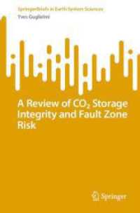 A Review of CO₂ Storage Integrity and Fault Zone Risk (Springerbriefs in Earth System Sciences)