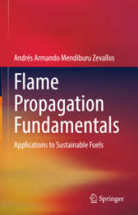 Flame Propagation Fundamentals : Applications to Sustainable Fuels （2025. xi, 368 S. XI, 368 p. 88 illus., 60 illus. in color. 235 mm）