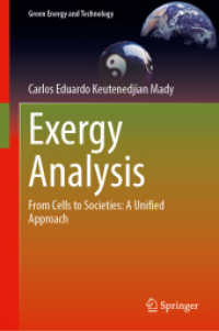 Exergy Analysis : From Cells to Societies: A Unified Approach (Green Energy and Technology)