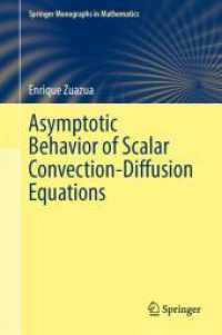 Asymptotic Behavior of Scalar Convection-Diffusion Equations (Springer Monographs in Mathematics)