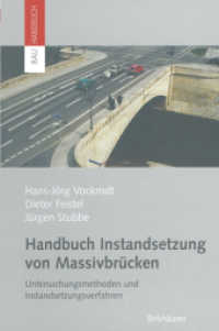 Handbuch Instandsetzung von Massivbrücken : Untersuchungsmethoden und Instandsetzungsverfahren (Bauhandbuch)