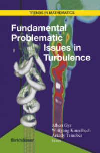 Fundamental Problematic Issues in Turbulence (Trends in Mathematics)