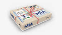 MIA im Kindergarten : Box mit Kartenset und Klapp-Wimmelbild zum Aufbau von Medien-, Informatik- und Anwendungskompetenzen （1. Auflage. 2021. 10 S. 240.00 x 294.00 mm）
