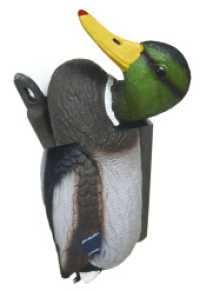 No New Kind of Duck : Would I know how to say what I do? (hors série) （2016. 320 S. 90 farb. Abb. 19 cm）