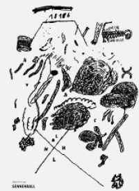 Sonntagsfreuden. Hefte 1-12 / Sonntagsfreuden Nr. 7: Sennenball : Der Appenzeller Sennenball und die Hungersnot von 1817 (AI) (Sonntagsfreuden. Hefte 1-12) （1., Aufl. 2008. 84 S. 8 Farbabb., 16 SW-Abb. 21 cm）