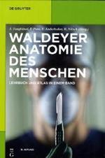 Anatomie des Menschen : Lehrbuch und Atlas in einem Band