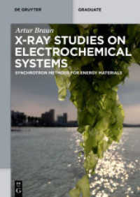 X-Ray Studies on Electrochemical Systems : Synchrotron Methods for Energy Materials (De Gruyter Textbook)