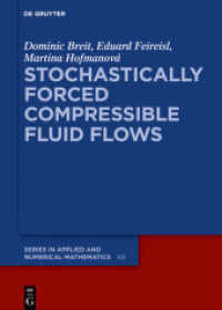 Stochastically Forced Compressible Fluid Flows : Navier-Stokes Equations with Stochastic Driving Forces (De Gruyter Series in Applied and Numerical Mathematics 3)