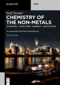 Chemistry of the Non-Metals : Syntheses - Structures - Bonding - Applications (De Gruyter STEM)
